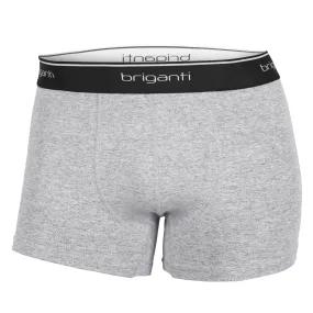 BOXER PREMIUM GRIS