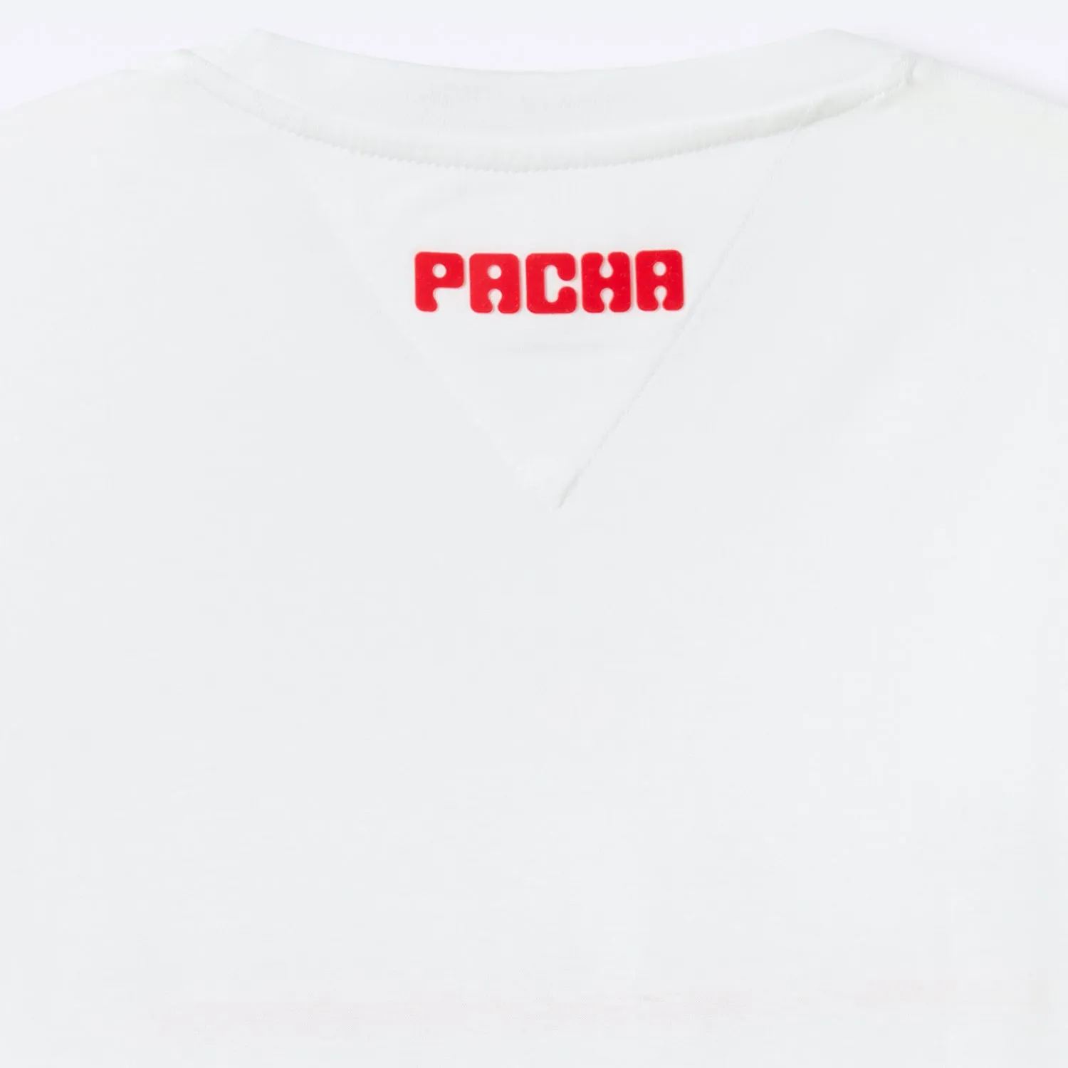 Camiseta Icon